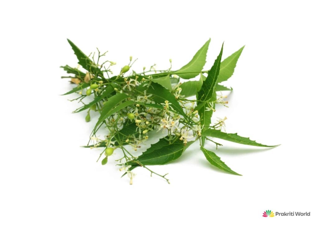 herbs for skin health