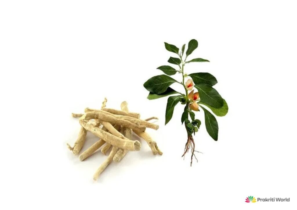 herbs for skin health