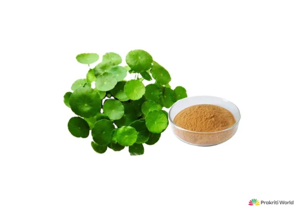 top ayurvedic herbs