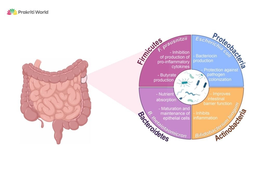 remedies for gut health