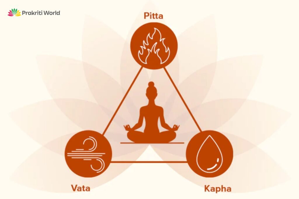 Best Ayurvedic herbs for spine health
