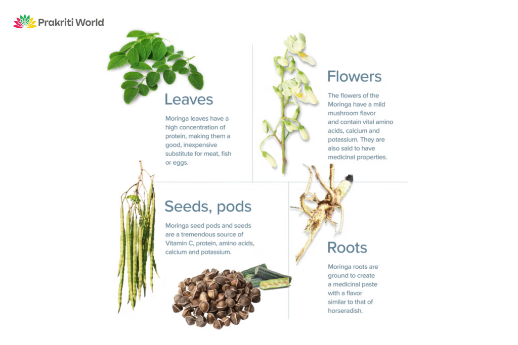organic moringa leaf powder
