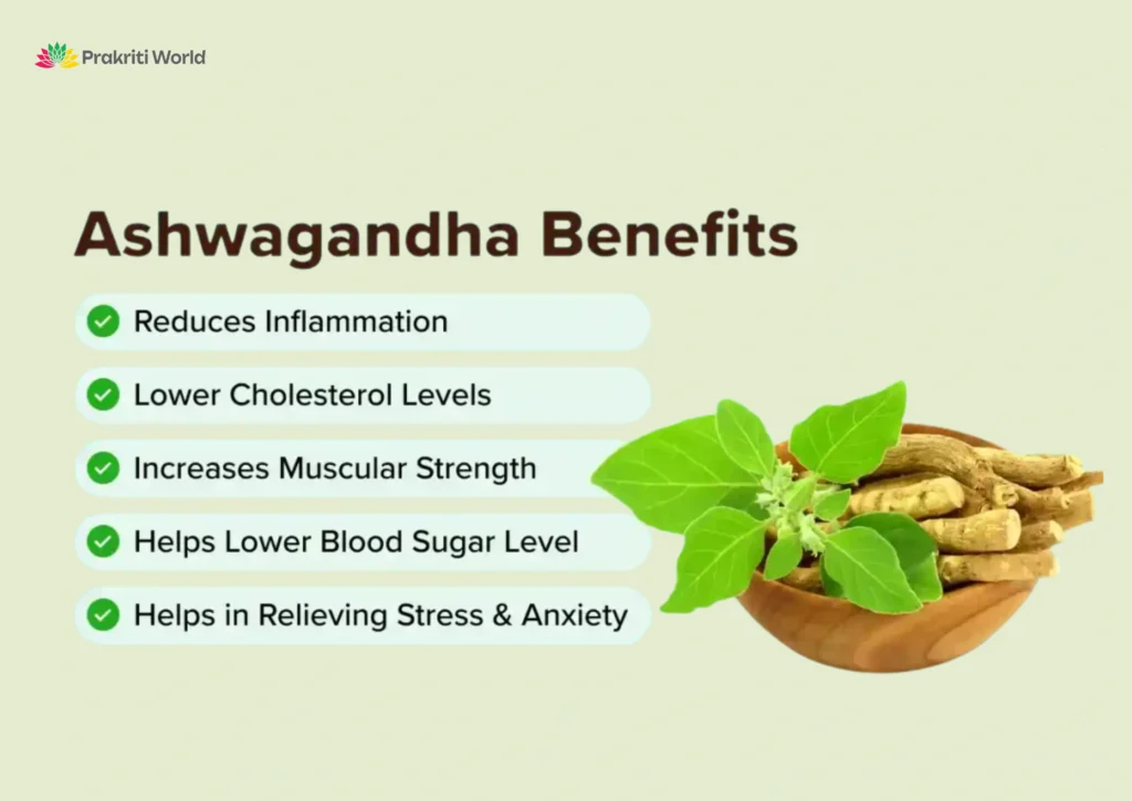 Ashwagandha immunity support