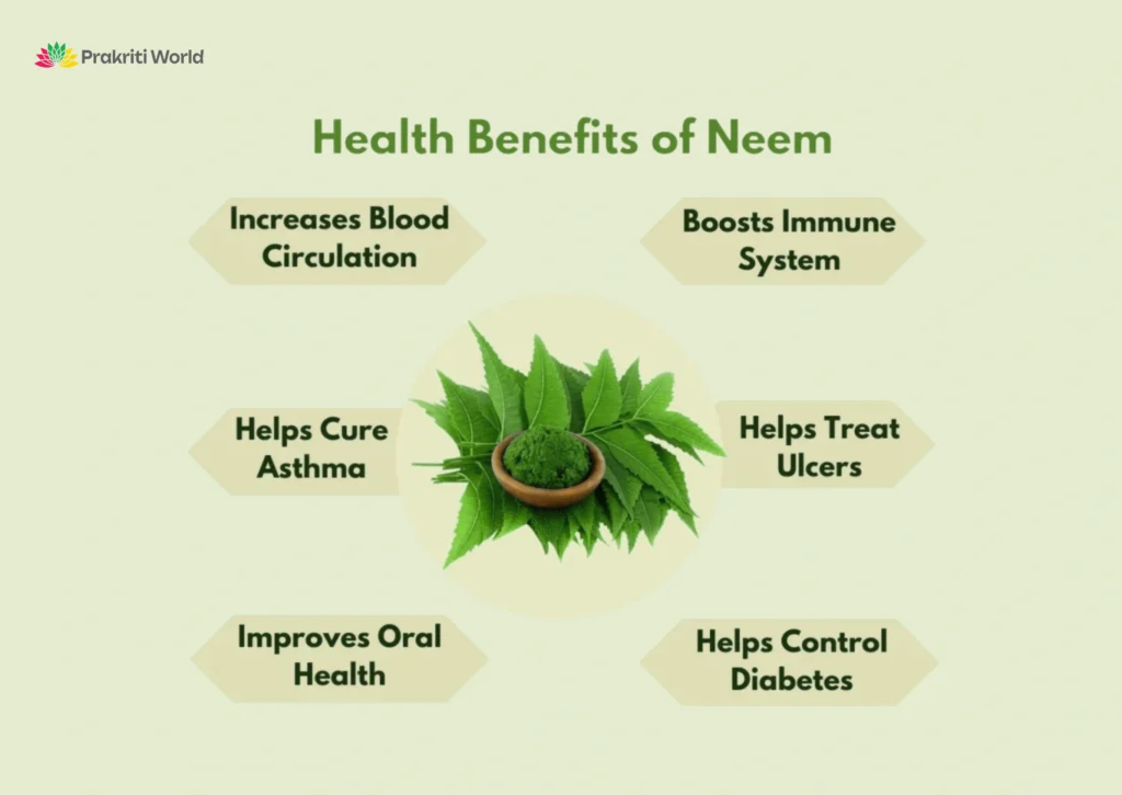 How to use neem to boost immunity