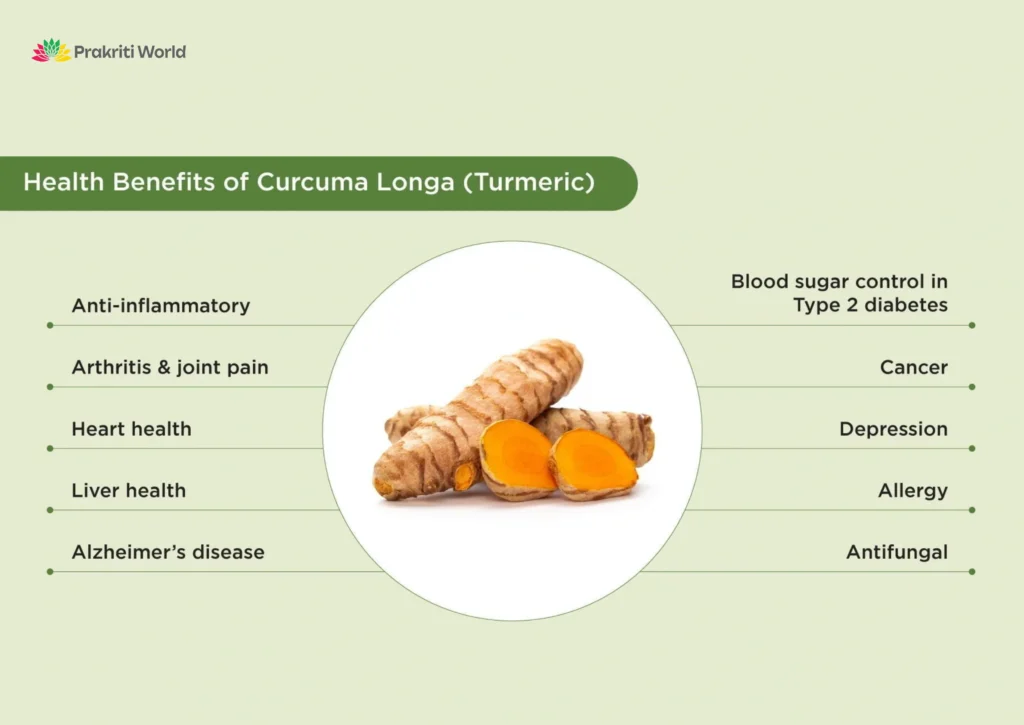 Turmeric immune booster effects