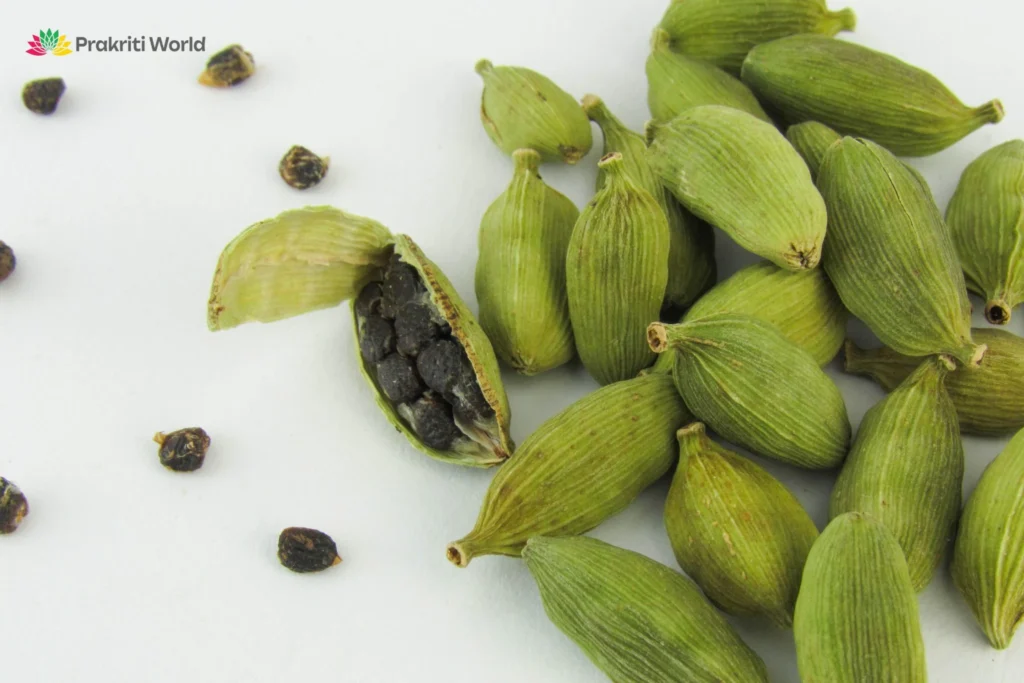 ayurvedic spices for healthy lifestyle usa